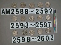 藏品(美國1角硬幣)的圖片